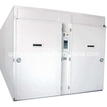 Large Capactiy Automatic Incubator with Prefabricated Hatchery House