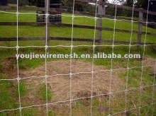 Wire Mesh Fence for sale(manufacturer)