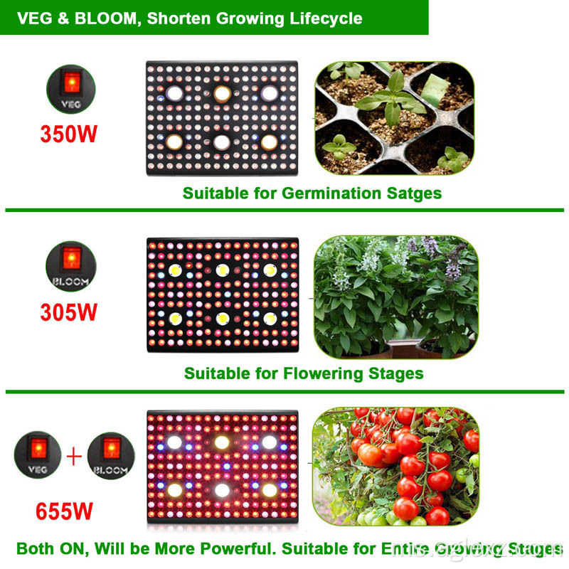 COB Hortikultur LED Grow Light 3000W Spektrum Penuh