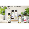 Grosir Daun Cypress Organik Pure (Cupressus Sempervirens) Minyak Esensial Untuk Aroma Pijat Perawatan Kulit Multi Penggunaan