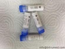 Syphilis-TP17-1 Recombinant Antigens Protein / Hapten Bindi