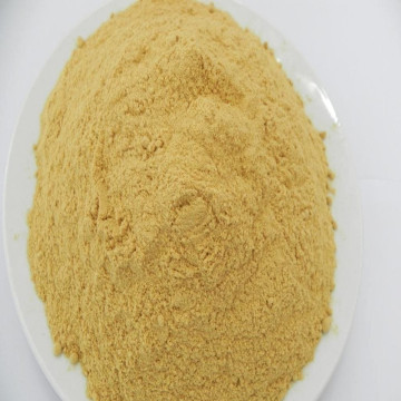 best price ginger spice ginger powder