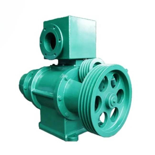 Roots Vacuum Pump