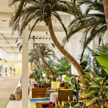 Artificial Coconut Palm Trees for Beaches and Outdoors