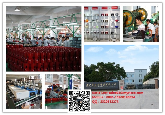 Making Crispy Rice  Function Rice Cooker with Timer