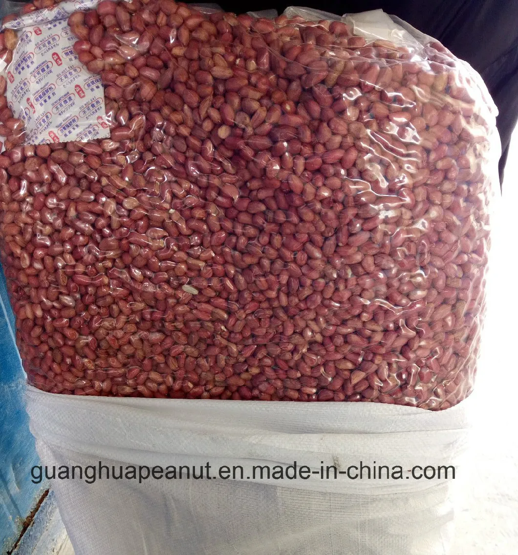 Hot Sale New Crop Red Skin Peanut Kernels 50/60 60/70