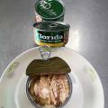 Fillet Mackerel Canned dalam Minyak Kedelai