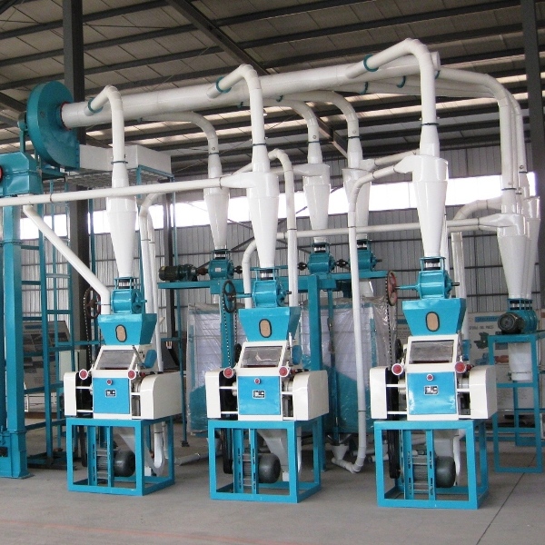 Maize Flour Milling Machinery (6FTS)