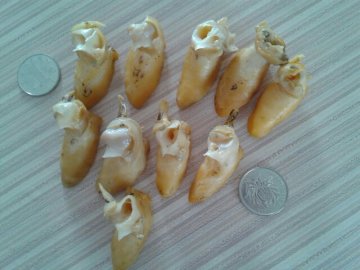 Frozen sticky snail meat(703)