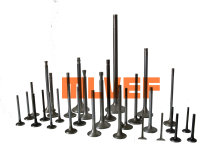 Engine Valves (ALL MODELS)