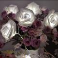 Chuỗi Pin LED Light Rose Hoa
