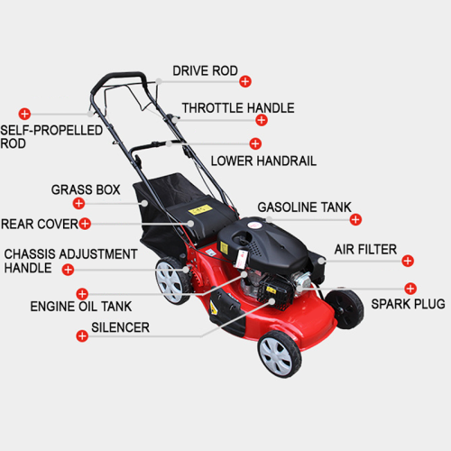 Trabalho de jardim com cortador de grama automotor motor 4IN1