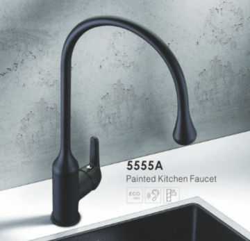 Painted Kitchen Faucet 5555A