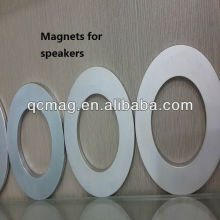 Magnets for car speakers
