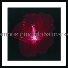 Decorative Pictures Photo Frame Wooden