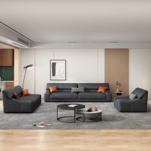Contemporary Floor Sofa Sets for Living Areas