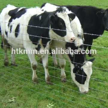 Anping hot sale Galvanzied Filed fence/Cattle Fence