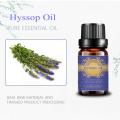 Grosir ORGANIC HYSSOP ESSENCE OIL untuk perawatan kulit