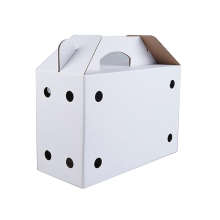 Custom Design Cardboard Live Chick Shipping Box with Handle