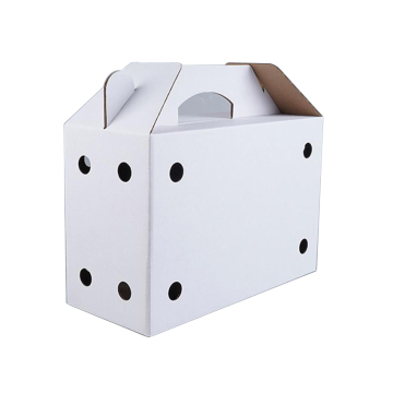 Custom Design Cardboard Live Chick Shipping Box with Handle