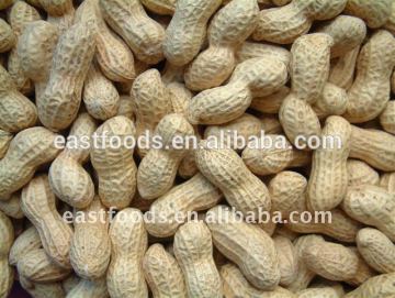 2015 NEW CROP peanut in shell