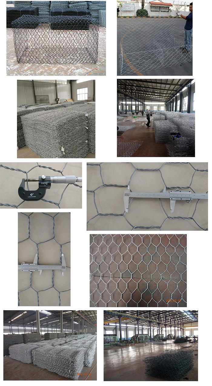 Gabion mesh