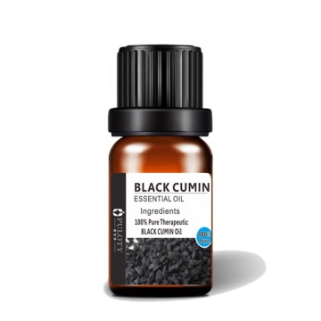 black cumin seed oil bangladesh wholesale