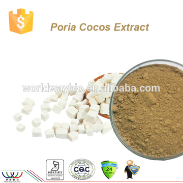 HACCP Kosher 10% ~ 30% polysaccharides UV poria cocos extract / poria cocos extract powder