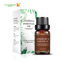 Angelica Aroma Perfume Fragrância Bulk Pure Essential Oil