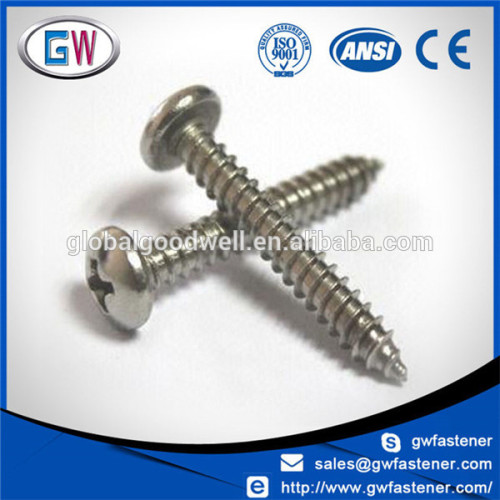 A2 A4 304 316 Stainless Steel Self Philips Drive Tapping Screws