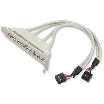 USB AF Port to 2 Dupont 9Pin Cable
