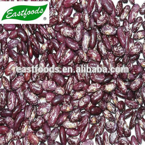 2015 new crop purple speckled kidney beans