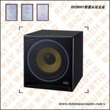 10\" Monitor Speakers