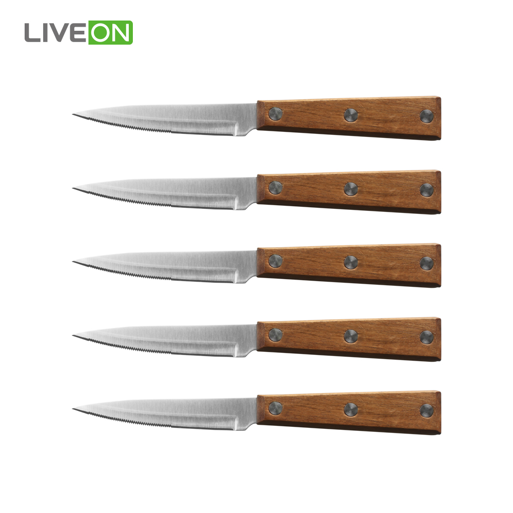 Wood Block Serrated Steak Knife with Wooden Handle