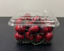 Transparent Pet Plastic Container for Fruit