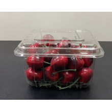 Transparenter Plastikbehälter für Haustiere für Obst