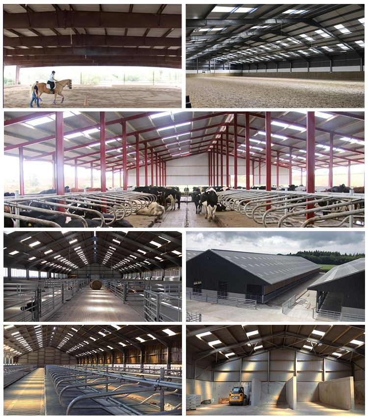 stable horse shed barn steel structure cowshed prefabricated dairy cow cattle farm shed barns house building bangladesh