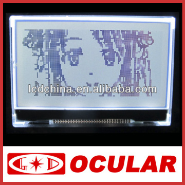 FSTN 12864 COG Positive LCD Module