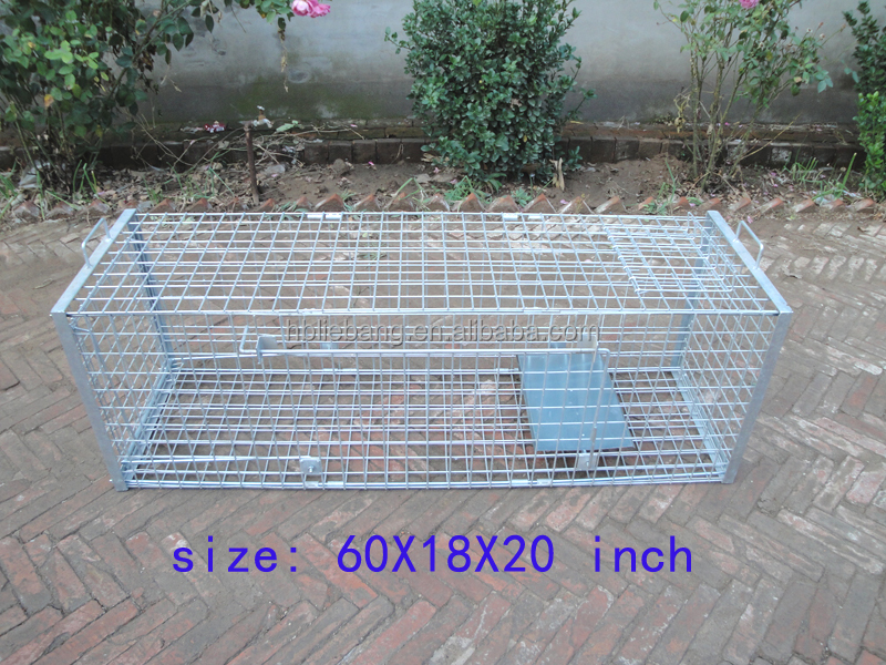 Liebang Humane Hunting Live Animal Cage Traps For Large Pest Animals Animal Control Fox Wildboar Cage Trap
