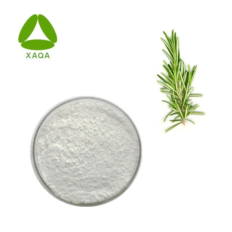 Carnosol 98% Rosemary Extract Powder CAS n ° 20283-92-5