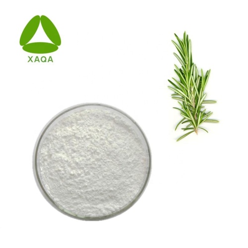 Carnosol 98% Rosemary Extract Powder CAS No. 20283-92-5