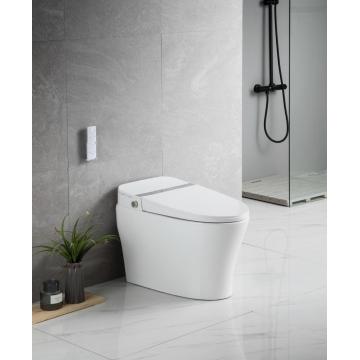 Sanitary wares bathroom smart one piece electric toilet