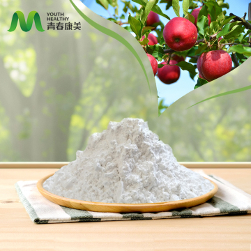 Freeze Dried Apple Powder