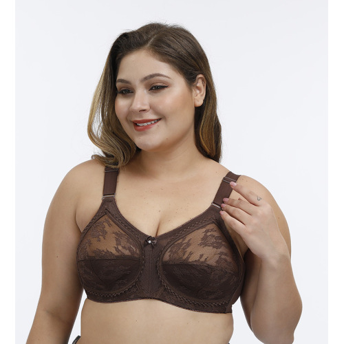 Op voorraad plus size transparante kanten bh met volledige cup