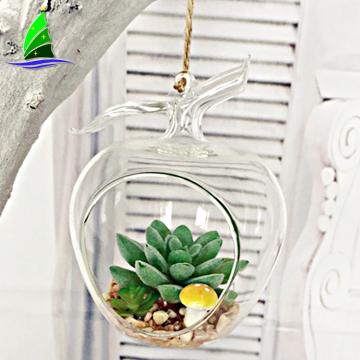 Wholesale Apple Shaped Glass Hanging Air Plant Terrarium