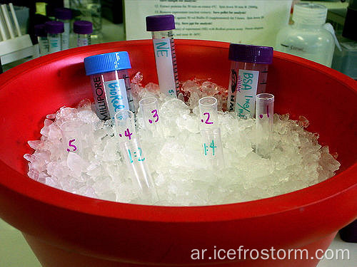 نوعية جيدة آلة صنع الجليد الرقاقي مختبر