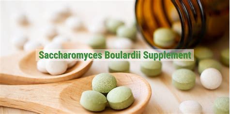 Saccharomyces boulardii4 Saccharomyces boulardii4