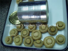 best fresh canned mushroom whole