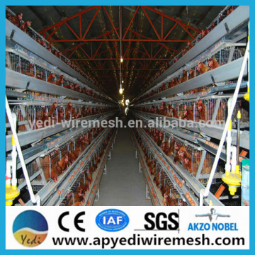 Hot sell battery quail cages and equipment