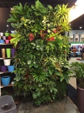 New Eco-friendly Funiture, Home decoration items